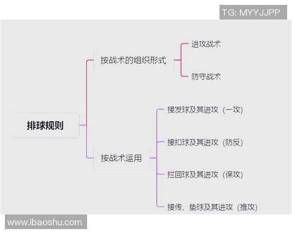 南京排球队快攻战术解析与深度剖析排球竞技的魅力与技巧