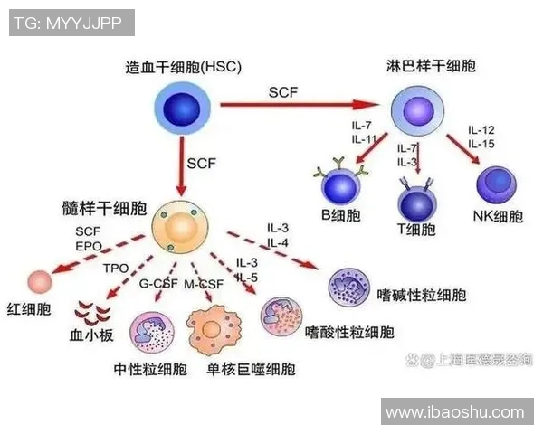 广州排球队速度表现分析与提升策略探讨 广州排球队速度表现分析与提升策略探讨