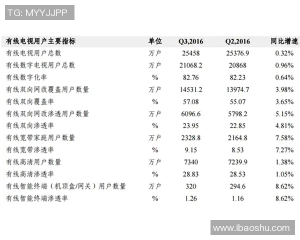 上海排球队技术分析与战术创新的深度探讨与展望